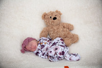 Twins Newborn Portraits_0020