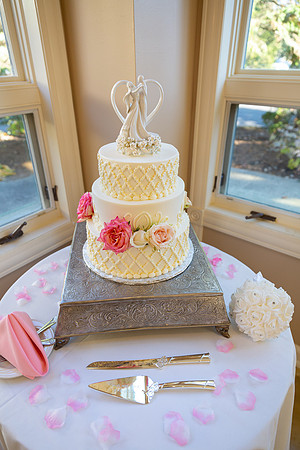 Meloro Wedding_0283