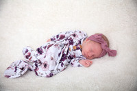 Twins Newborn Portraits_0012