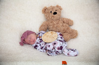 Twins Newborn Portraits_0019