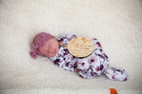 Twins Newborn Portraits_0018