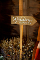 Dolan Wedding_0006