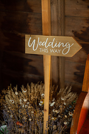 Dolan Wedding_0006