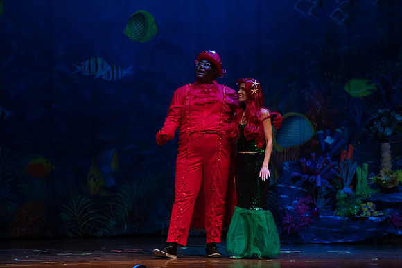 5DSR5377
