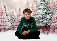 WheelerXmas4