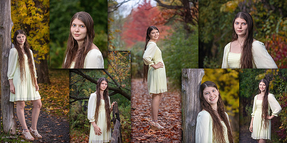 Denver Collage