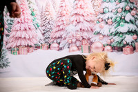 Family Holiday Portraits_0001