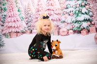 Family Holiday Portraits_0005