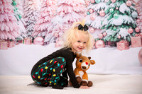 Family Holiday Portraits_0002