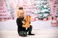 Family Holiday Portraits_0010