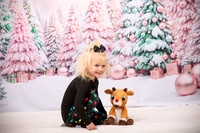 Family Holiday Portraits_0008