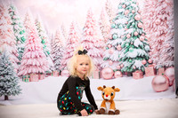 Family Holiday Portraits_0006
