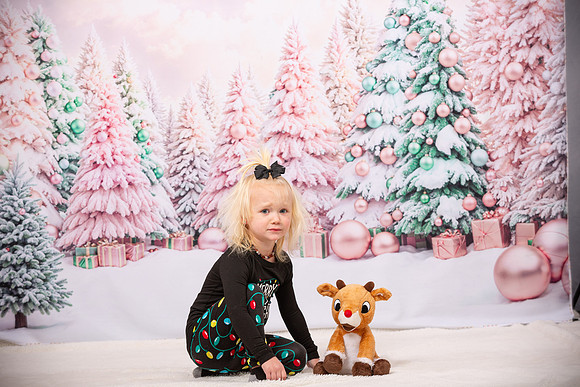 Family Holiday Portraits_0006