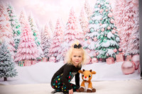 Family Holiday Portraits_0007