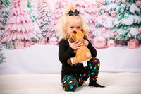 Family Holiday Portraits_0011