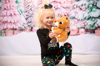 Family Holiday Portraits_0012
