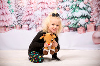 Family Holiday Portraits_0014