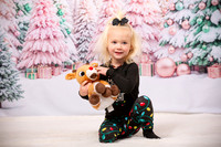 Family Holiday Portraits_0016