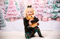 Family Holiday Portraits_0017