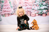 Family Holiday Portraits_0018