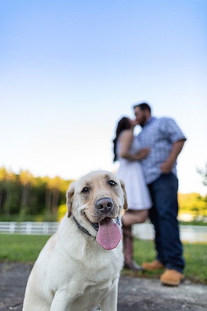 Nolan Engagement_0260