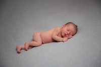 Levi's Newborn Portraits
