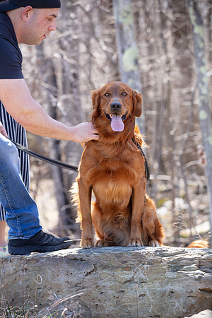 hilltopgoldenretriever_0132