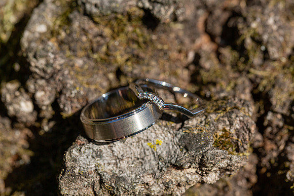 Miller Wedding_0041