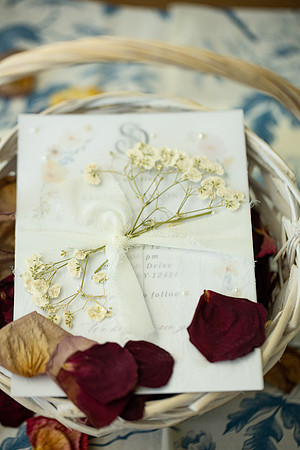 Canzone-Nelson Wedding_0052