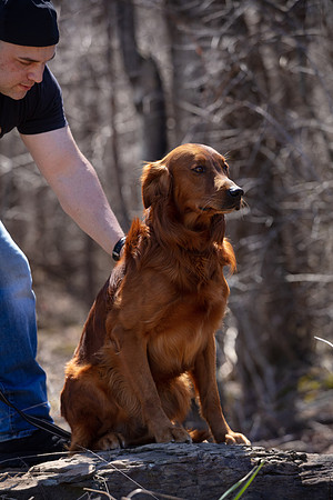 hilltopgoldenretriever_0110