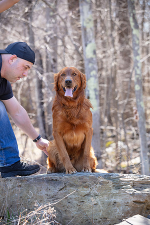 hilltopgoldenretriever_0142