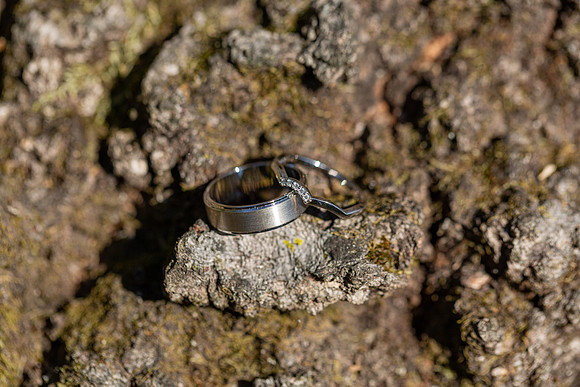 Miller Wedding_0039