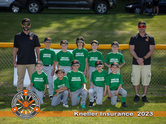 THLL Kneller Insurance_0001
