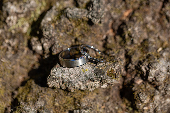 Miller Wedding_0037