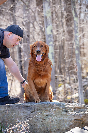hilltopgoldenretriever_0141