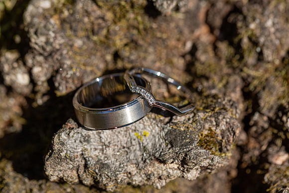 Miller Wedding_0043