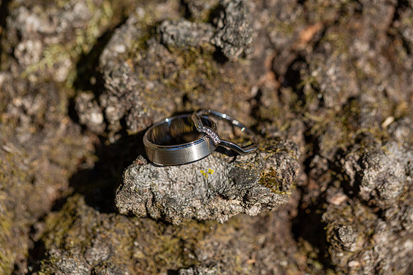 Miller Wedding_0038