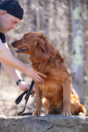 hilltopgoldenretriever_0127