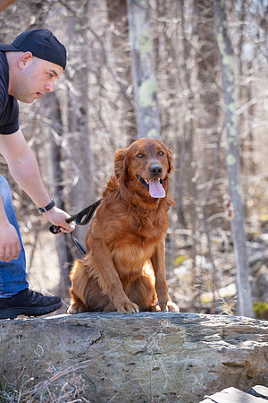 hilltopgoldenretriever_0139