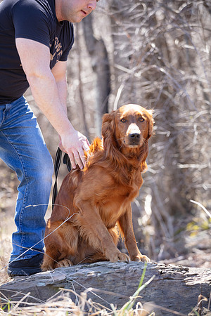hilltopgoldenretriever_0112
