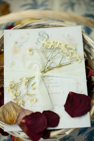Canzone-Nelson Wedding_0051