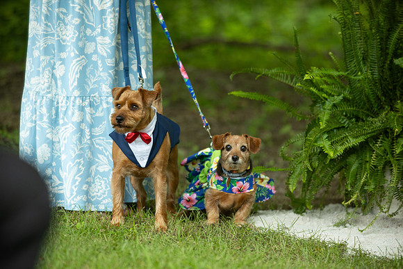 Wedding_0112