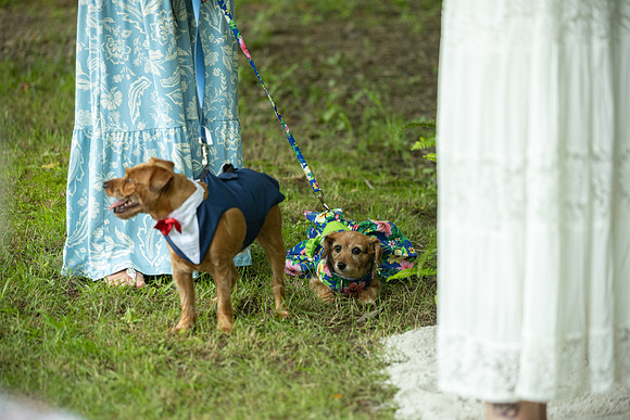 Wedding_0073