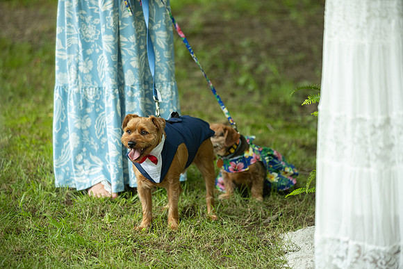 Wedding_0071
