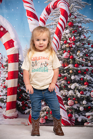 Family Holiday Portraits_0021