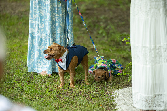 Wedding_0072