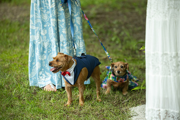 Wedding_0069