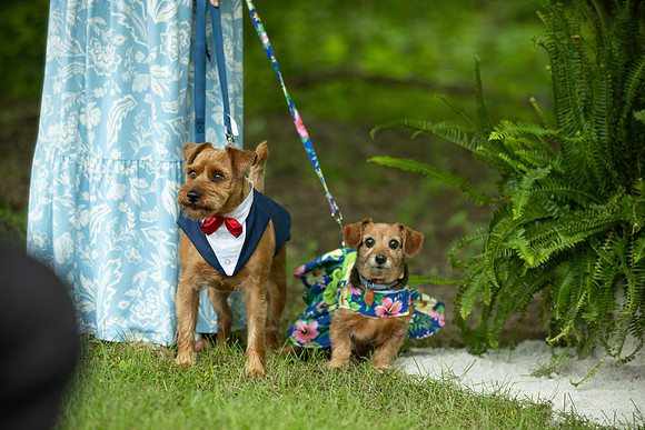 Wedding_0114