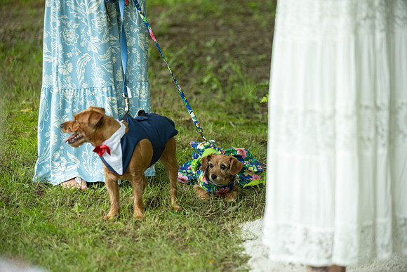 Wedding_0074