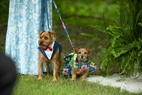 Wedding_0113